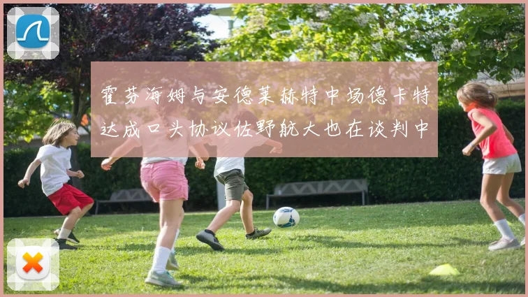 霍芬海姆与安德莱赫特中场德卡特达成口头协议佐野航大也在谈判中