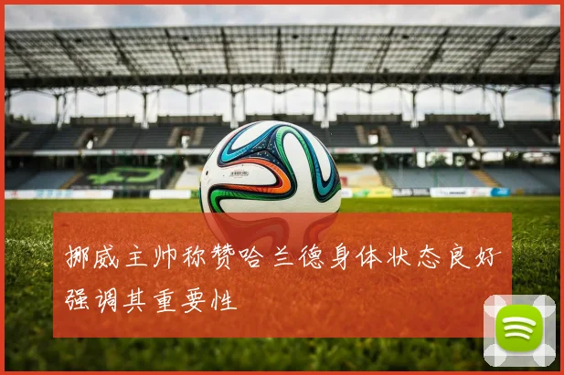挪威主帅称赞哈兰德身体状态良好强调其重要性